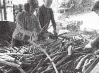 ���������Y���p������